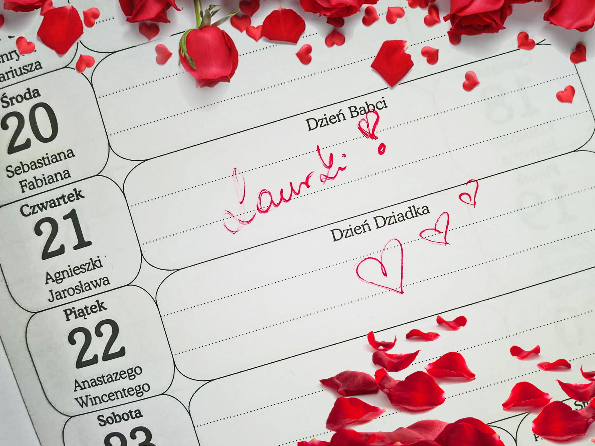 zdjęcie kalendarza 21 i 22 stycznia Dzień Babci i Dzień Dziadka napis Laurki, namalowane serca, płatki czerwonych róż