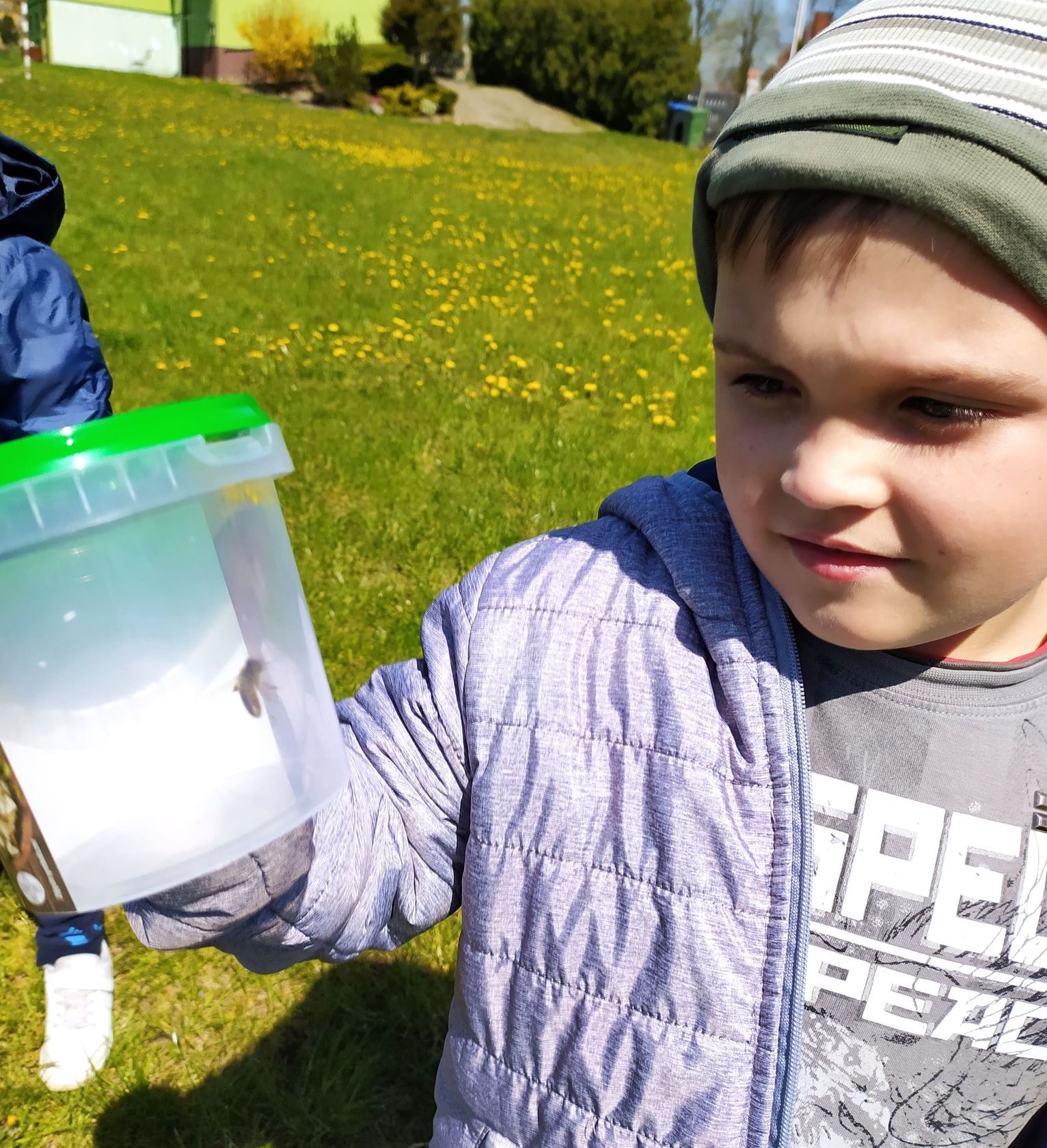 chłopiec trzyma wiaderko z owadem w środku