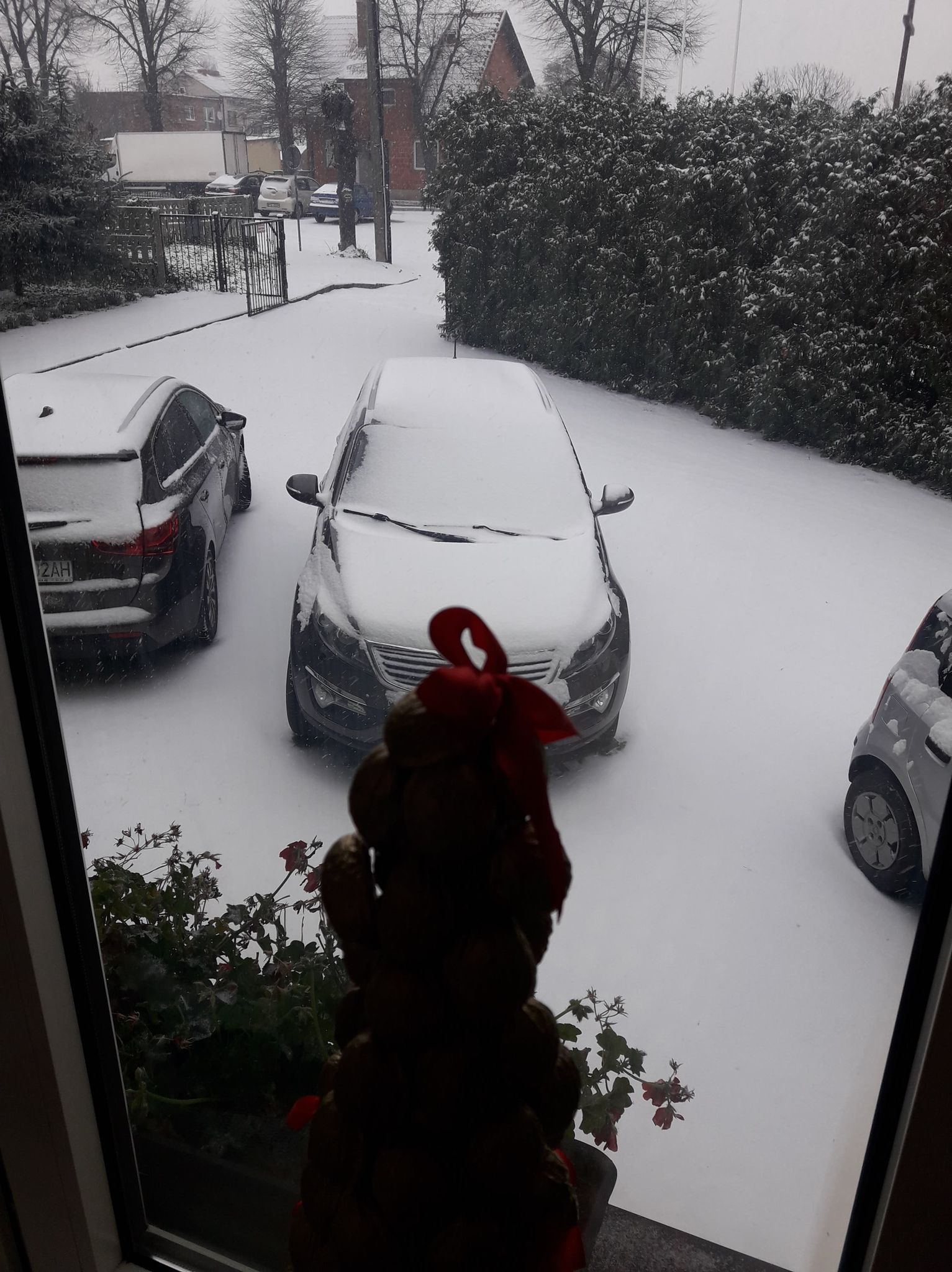 widok za oknem (auta na parkingu zasypane śniegiem)